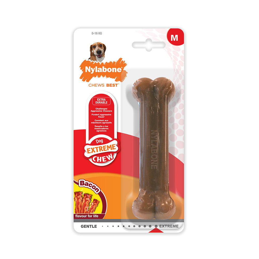 Nylabone Extreme Chew bacon M för hundar