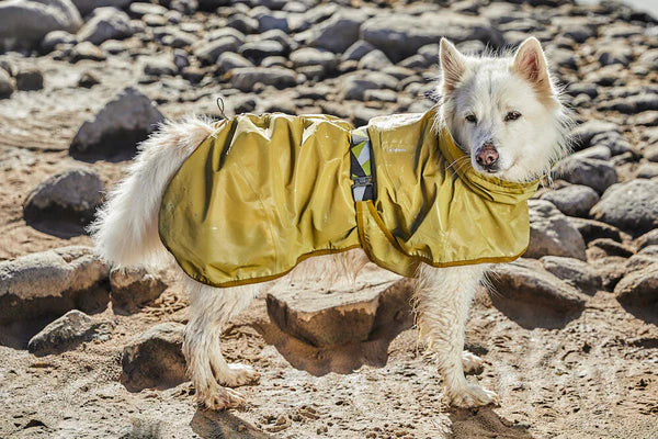 Hurtta Mudventure reflekterande hundjacka 45