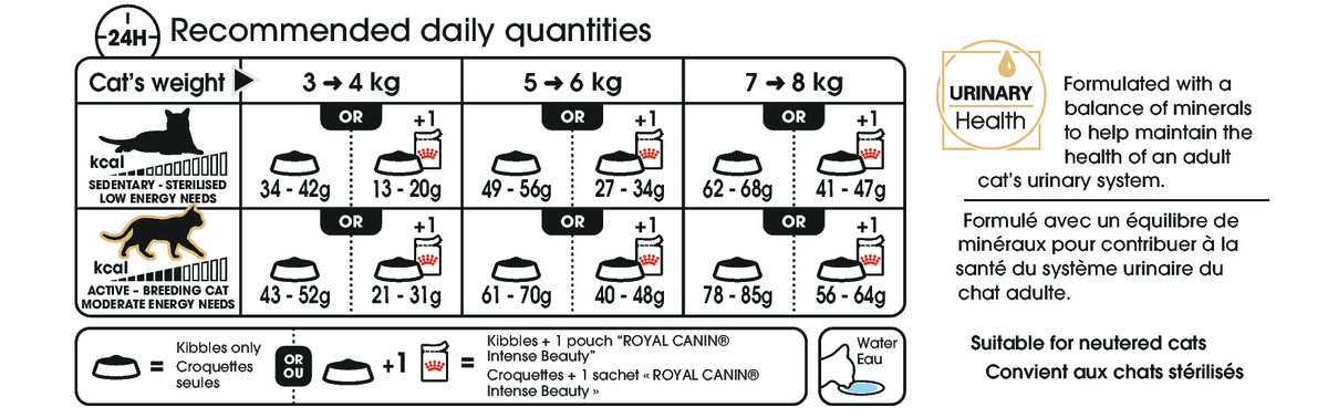 Royal Canin Ragdoll Adult 2 kg för katter