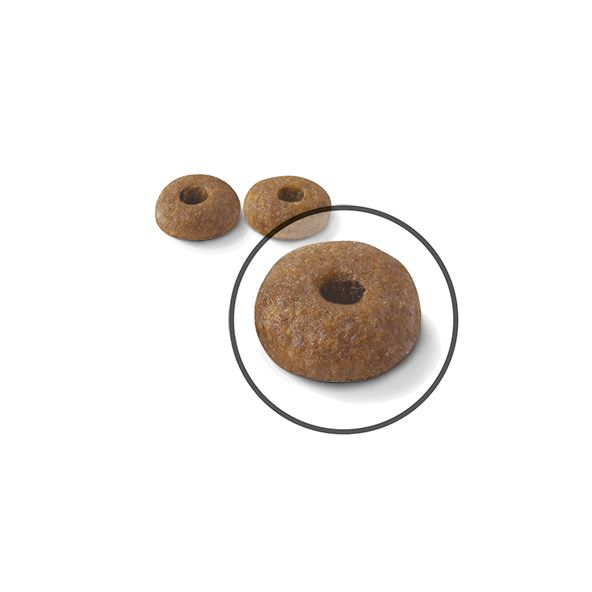 Royal Canin Digestive Care Torrfoder för Katt 400 g