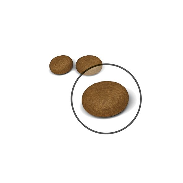 Royal Canin Hair & Skin Care torrfoder 400 g för katter