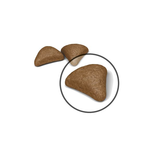 Royal Canin Hairball Care torrfoder 400 g för katter