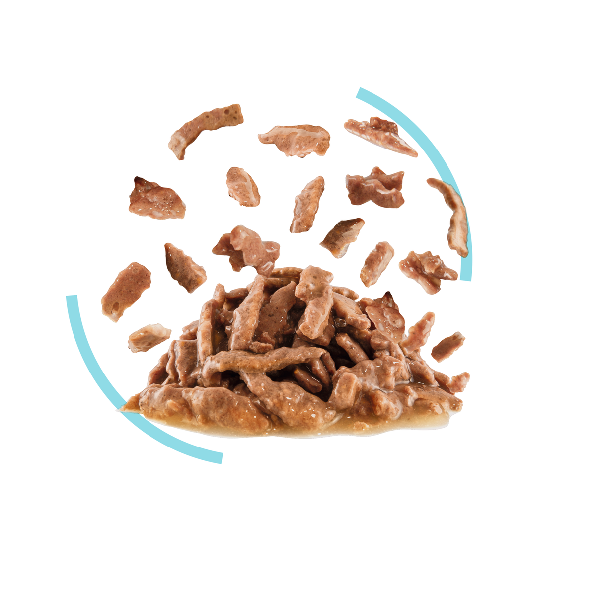 Royal Canin Sensory Feel Gravy katt 12 x 85 g