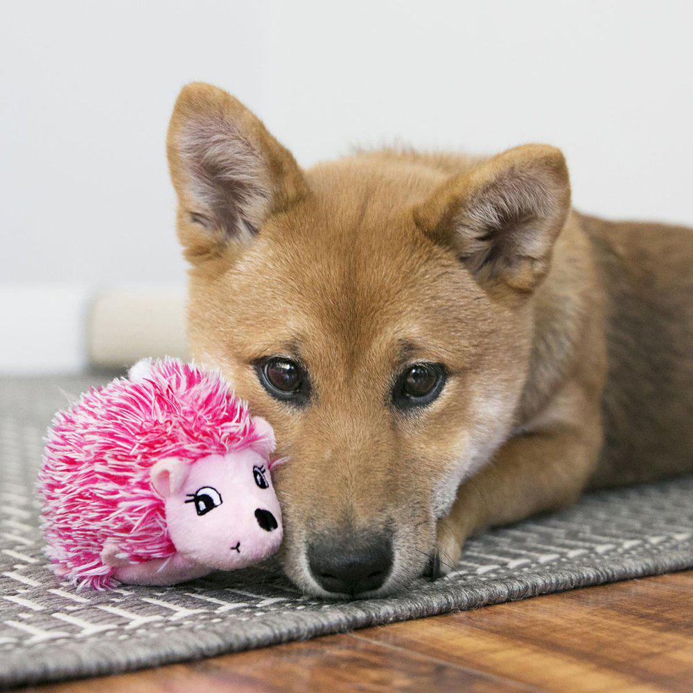 KONG Comfort Hedgehug Puppy L för valpar