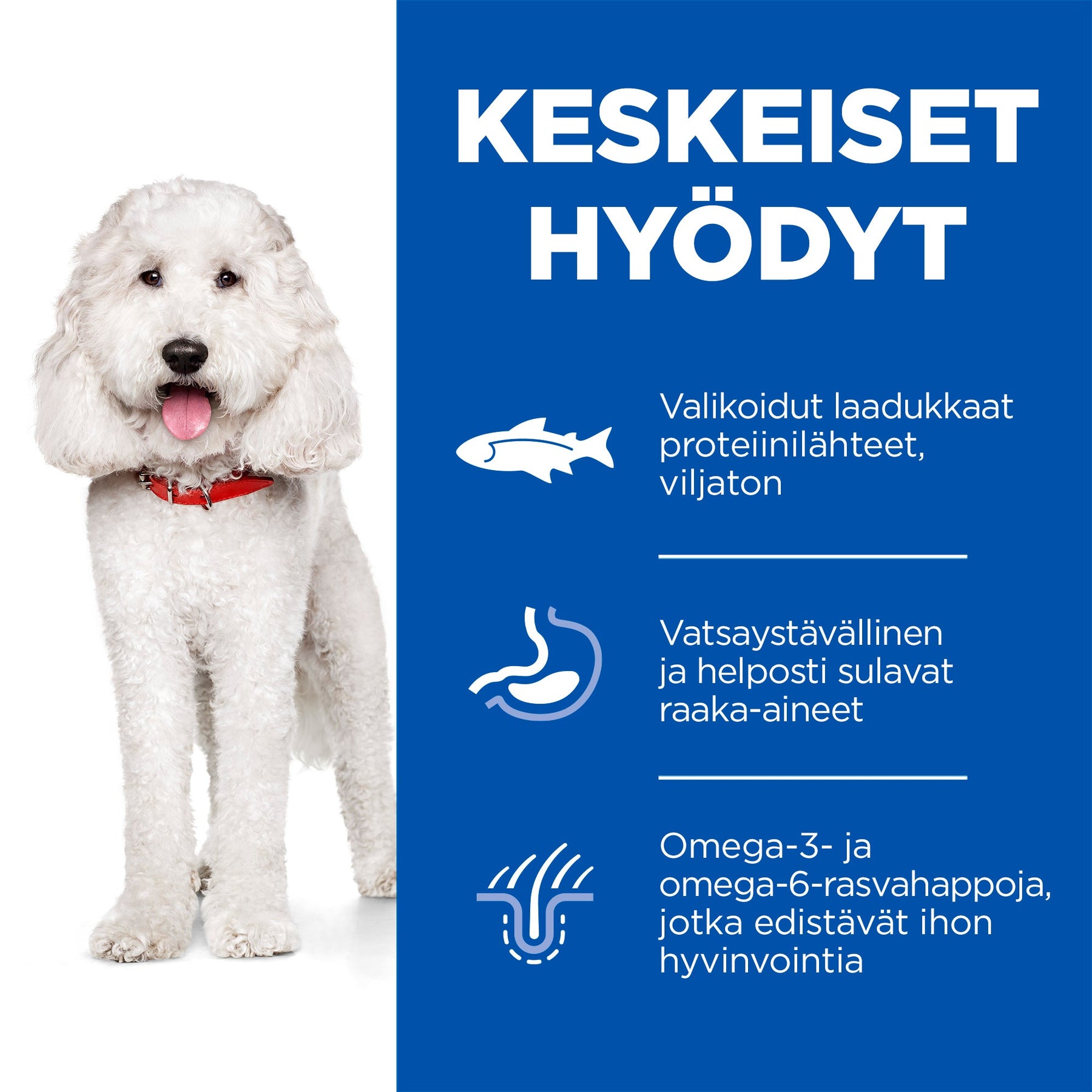 Hill's Science Plan Hypoallergenic Adult Medium med lax 2,5 kg för hundar