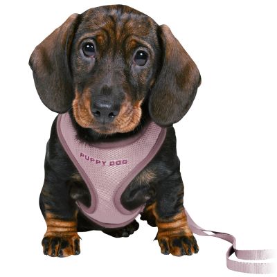 Trixie Junior sele + koppel SM lila