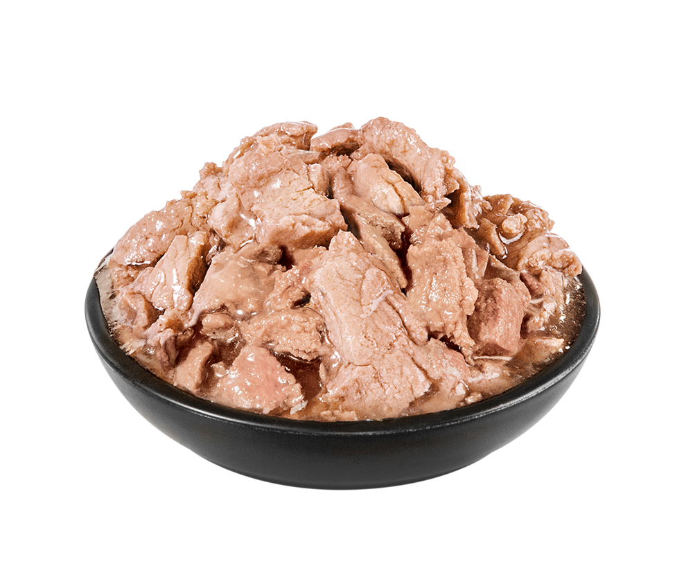 PrimaCat Classic Wet cat food with turkey in gravy for kitten 28 x 85 g