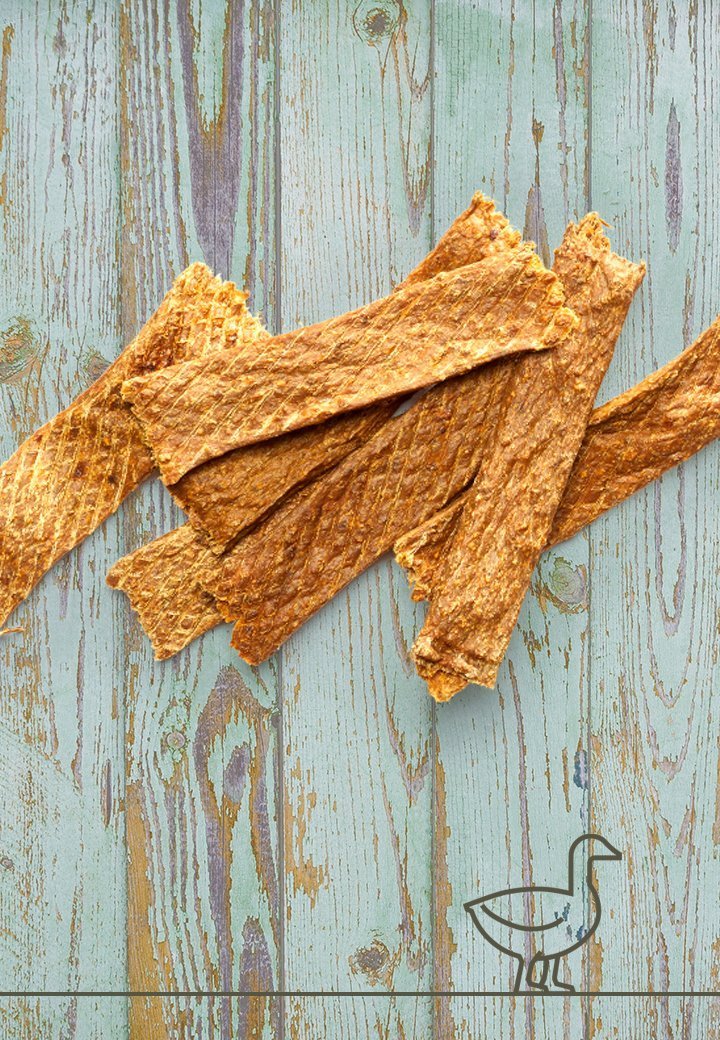 Vet Concept Tuggpinnar anka 100 g för hundar