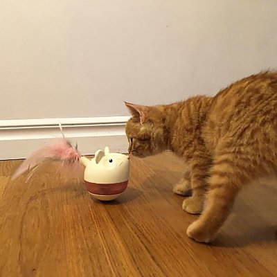 Petstages Cat Hunt’n Swat Treat Tumbler katt leksak
