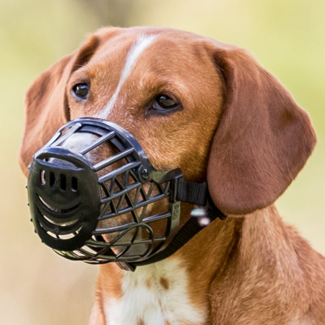 Trixie hundmunkorg plast L