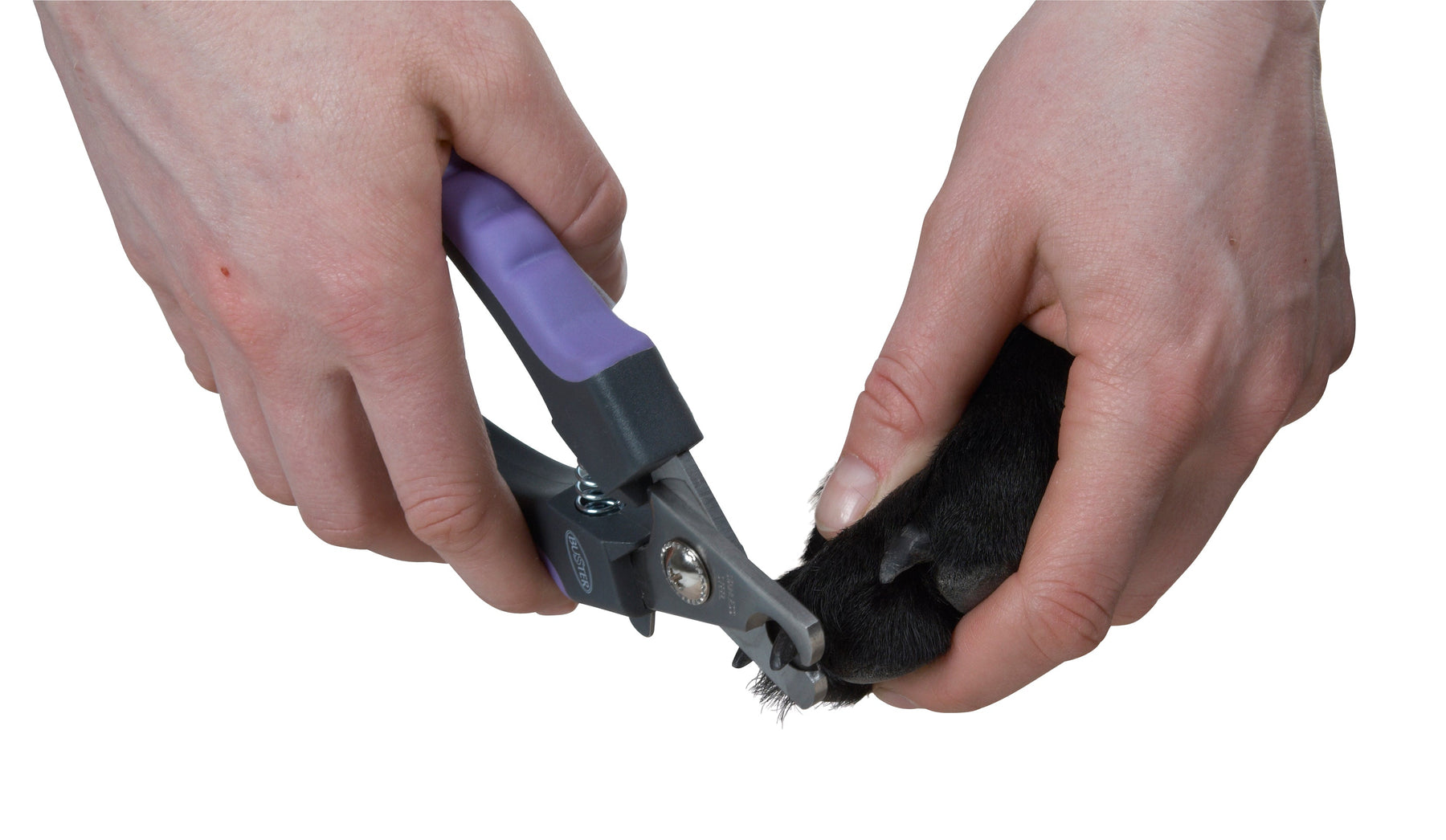 BUSTER küünekäärid koertele ja kassidele (lilla), L – 17 cm