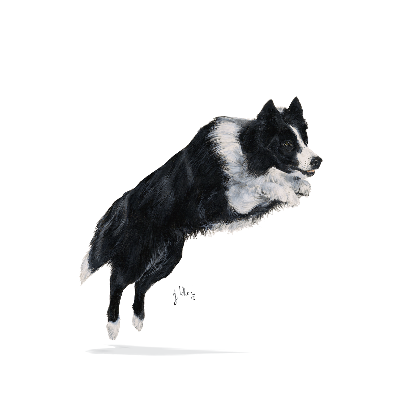 Royal Canin Sporting Life Energy 4100 Adult torrfoder för hund 15 kg