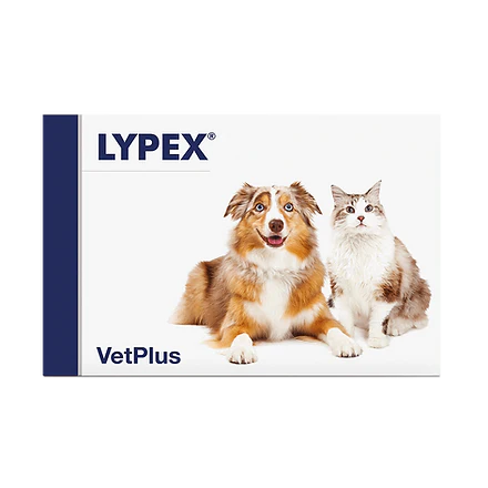 Vetplus Lypex för katter och hundar 2 x 60 kapslar 2-PACK
