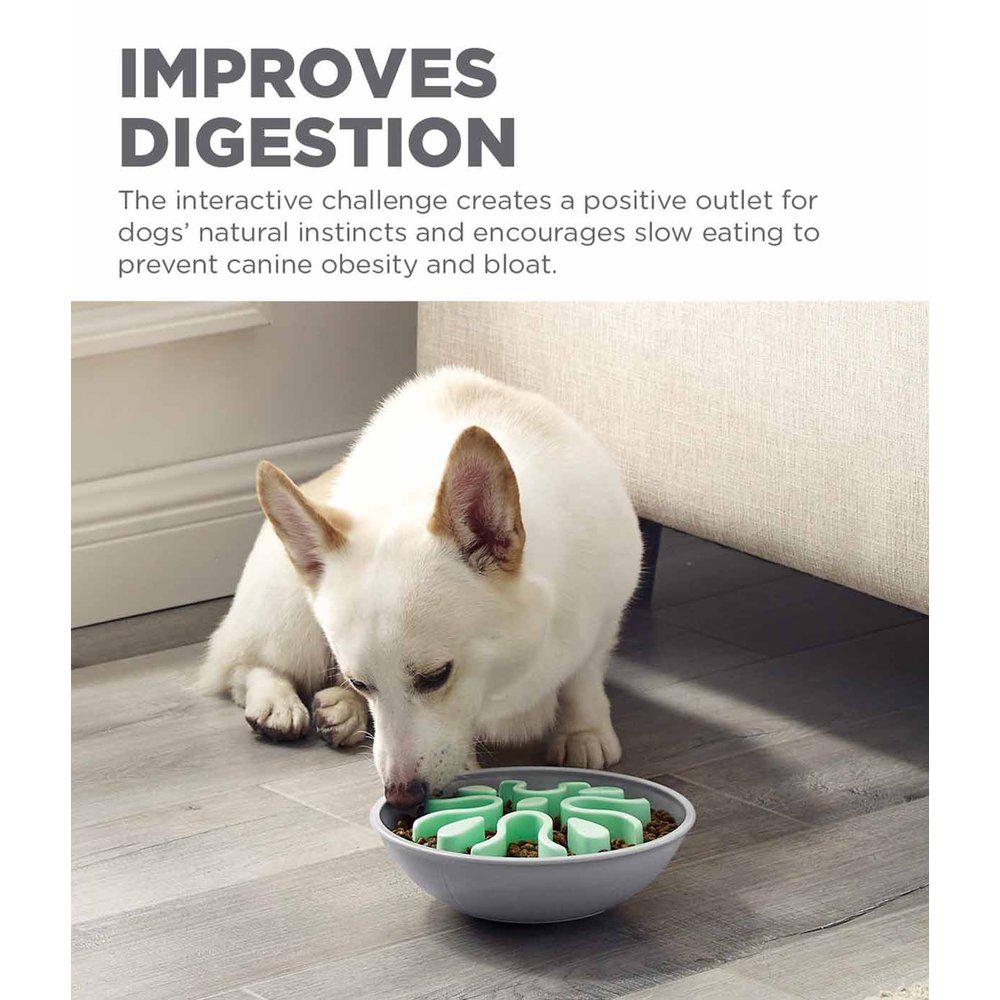Outward Hound Fun Feeder Wobble Slow Bowl för hundar mint