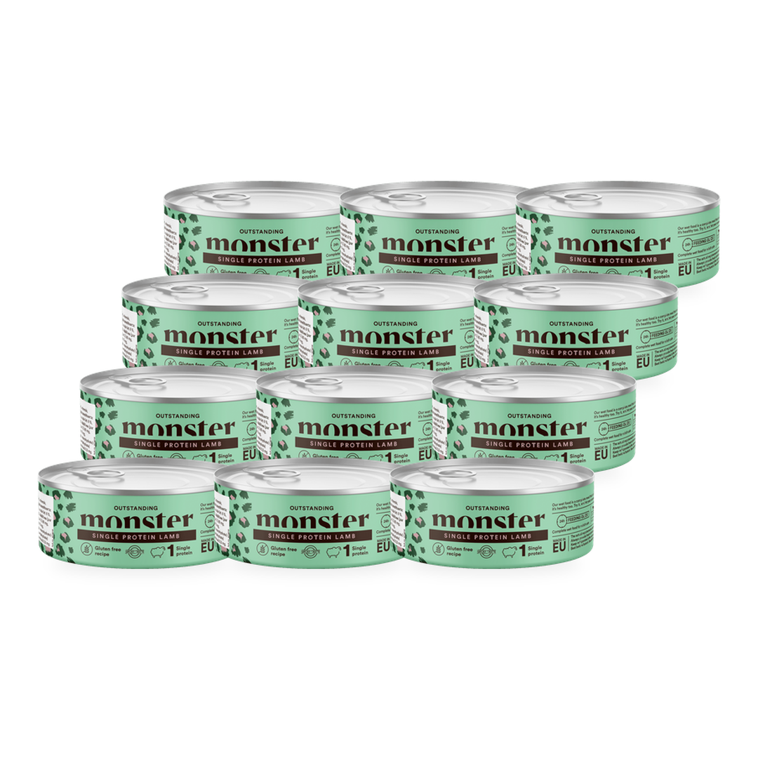 Monster Cat Adult Single Protein Lamb 12 x 100 g