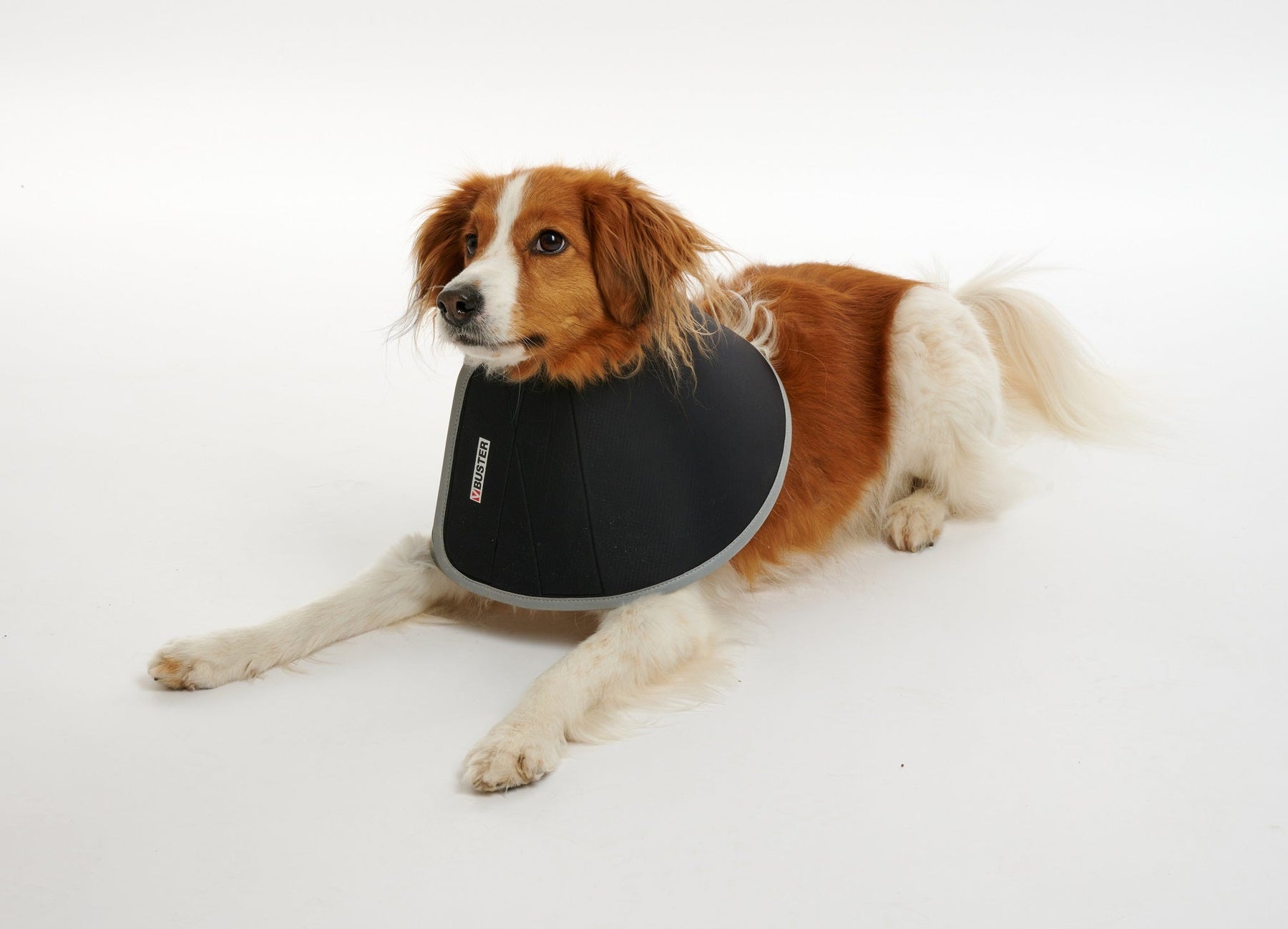 Buster Foam Hundkrage 25 cm