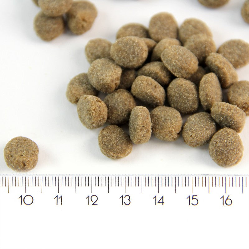 ProBooster Puppy Sensitive lamm 12 kg för hundar
