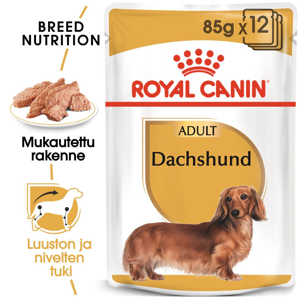Royal Canin Dachshund Adult våtfoder 12 x 85 g för hundar