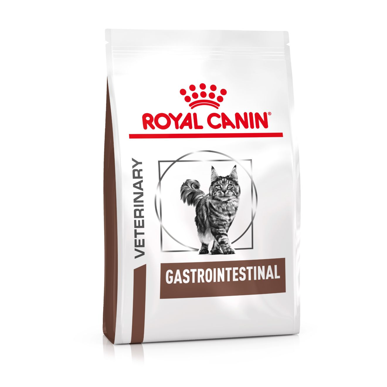 Royal Canin Veterinary Diets Gastrointestinal kuivtoit kassidele 2 kg