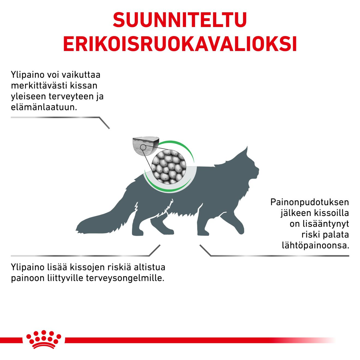 Royal Canin Veterinary Diets Weight Management Satiety dry food for cats