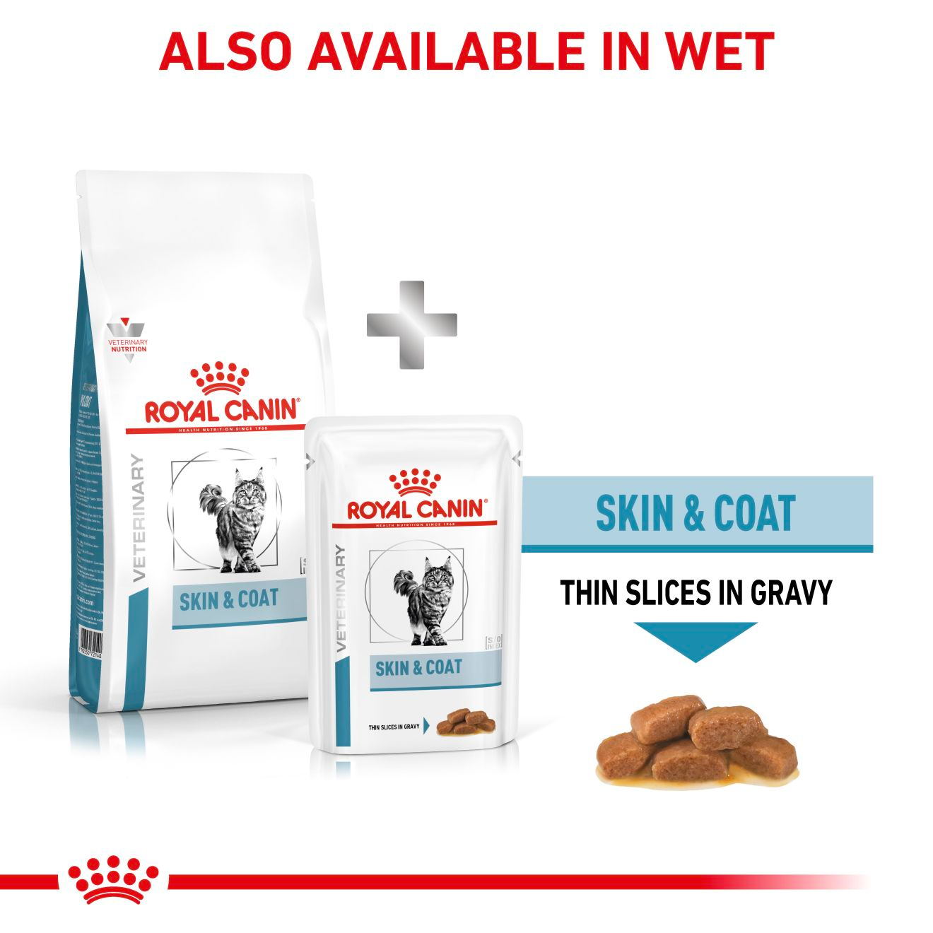 Royal Canin Veterinary Diets Derma Skin & Coat torrfoder för katter 1,5 kg