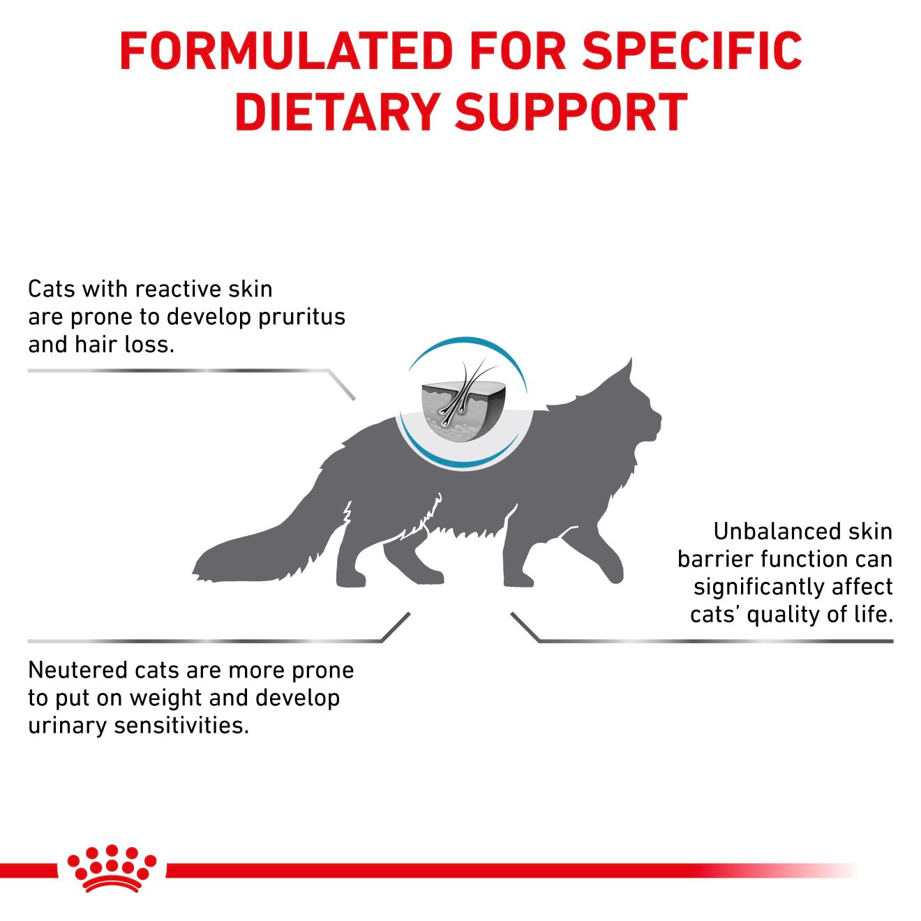 Royal Canin Veterinary Diets Derma Skin & Coat torrfoder för katter 1,5 kg