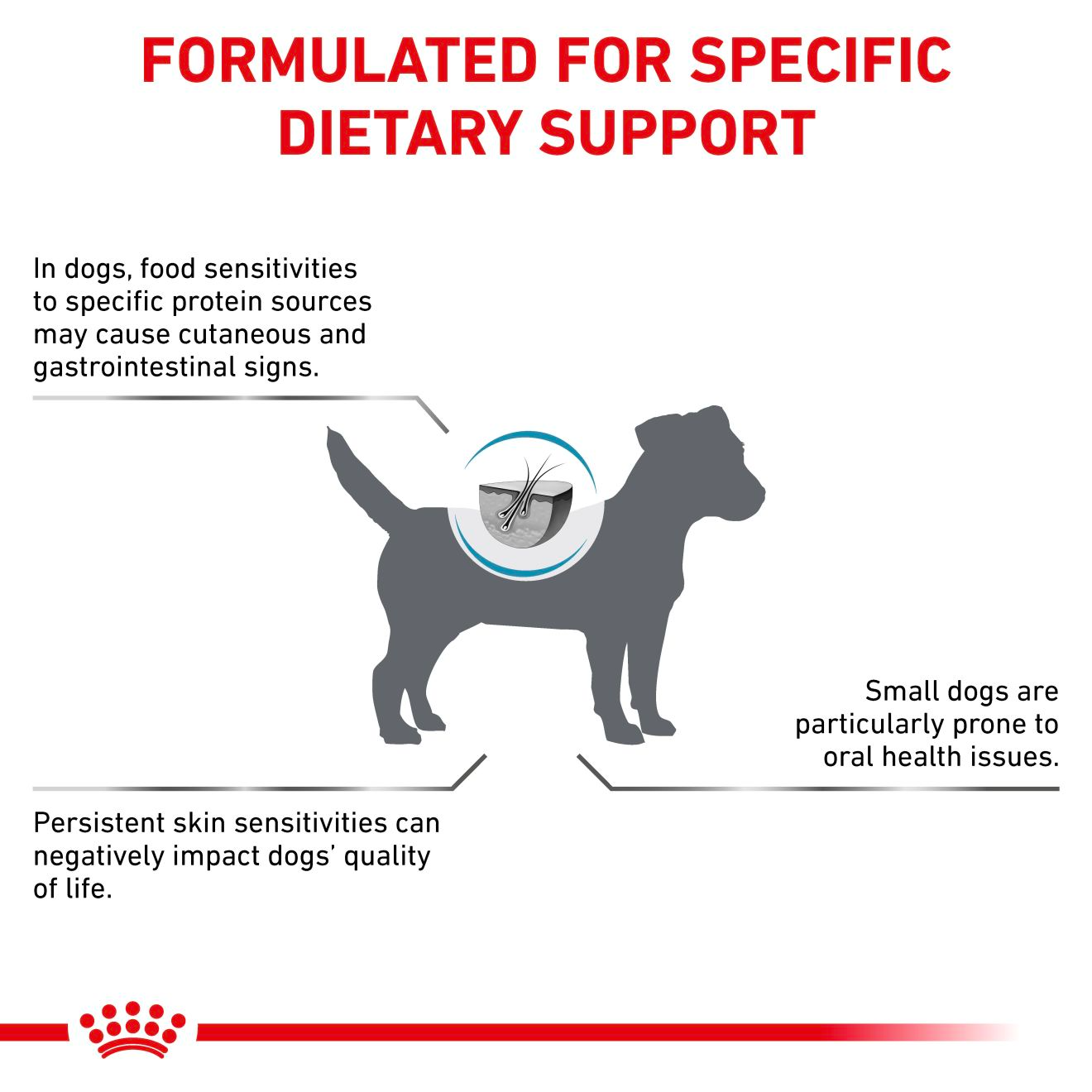 Royal Canin Veterinary Diets Derma Anallergenic Small Dog kuivtoit väikest kasvu koertele 3 kg