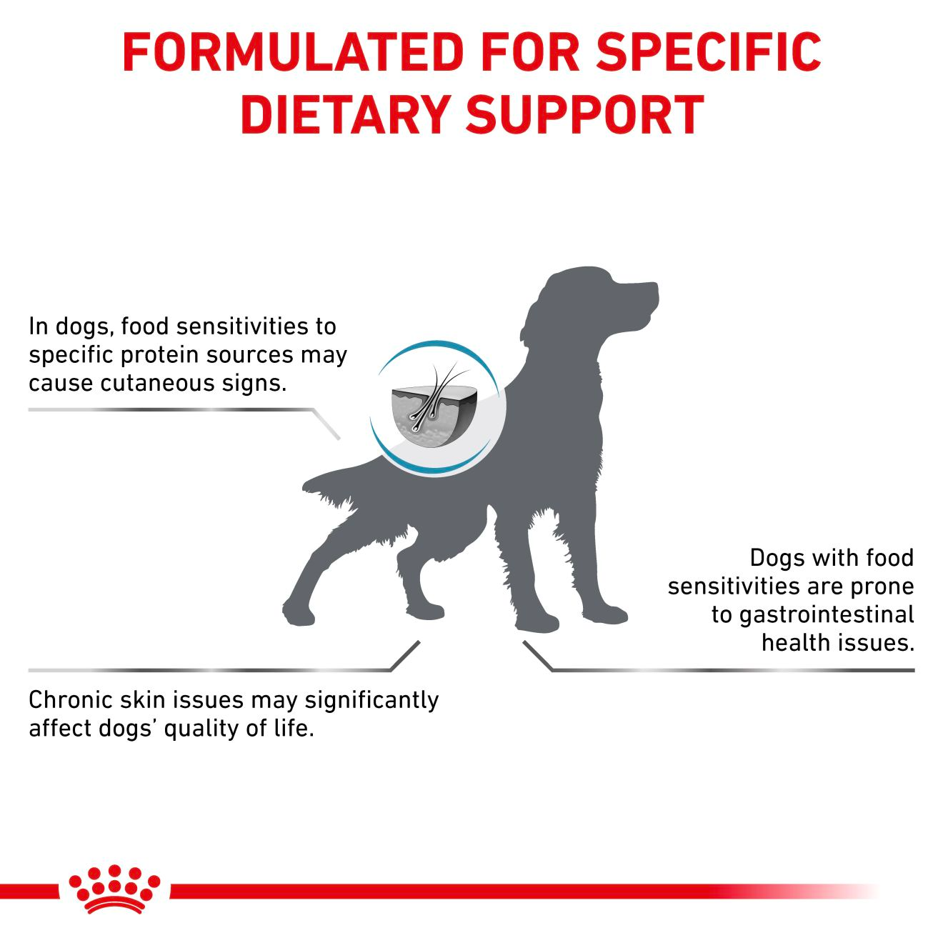 Royal Canin Veterinary Diets Derma Hypoallergenic kuivtoit koertele 14 kg