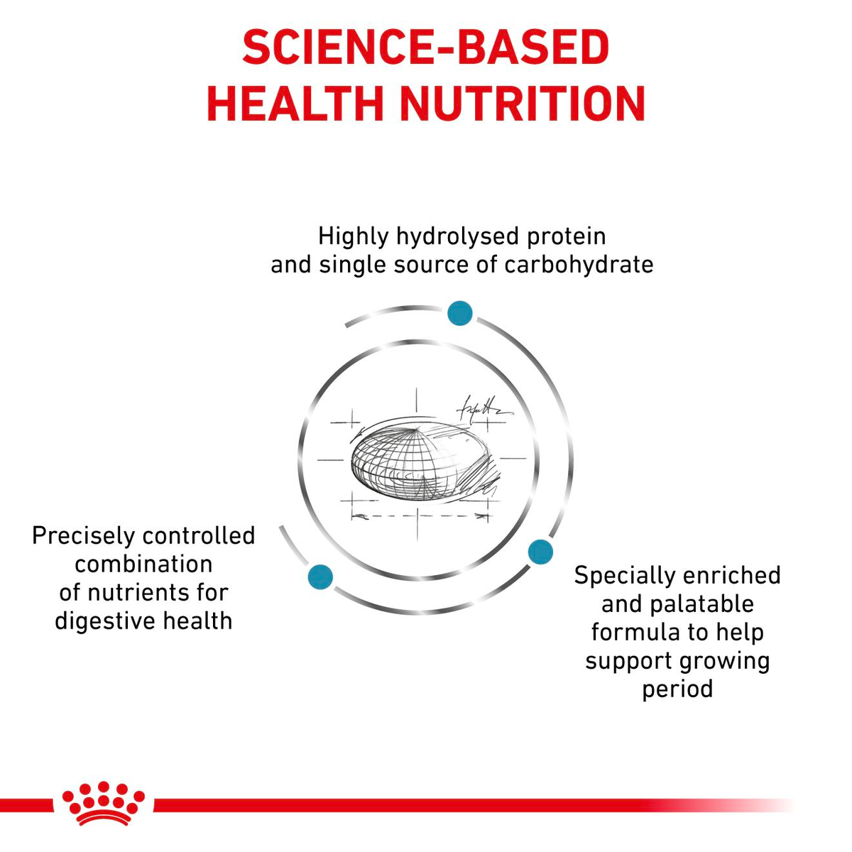 Royal Canin Veterinary Diets Derma Hypoallergenic Puppy dry food for dogs