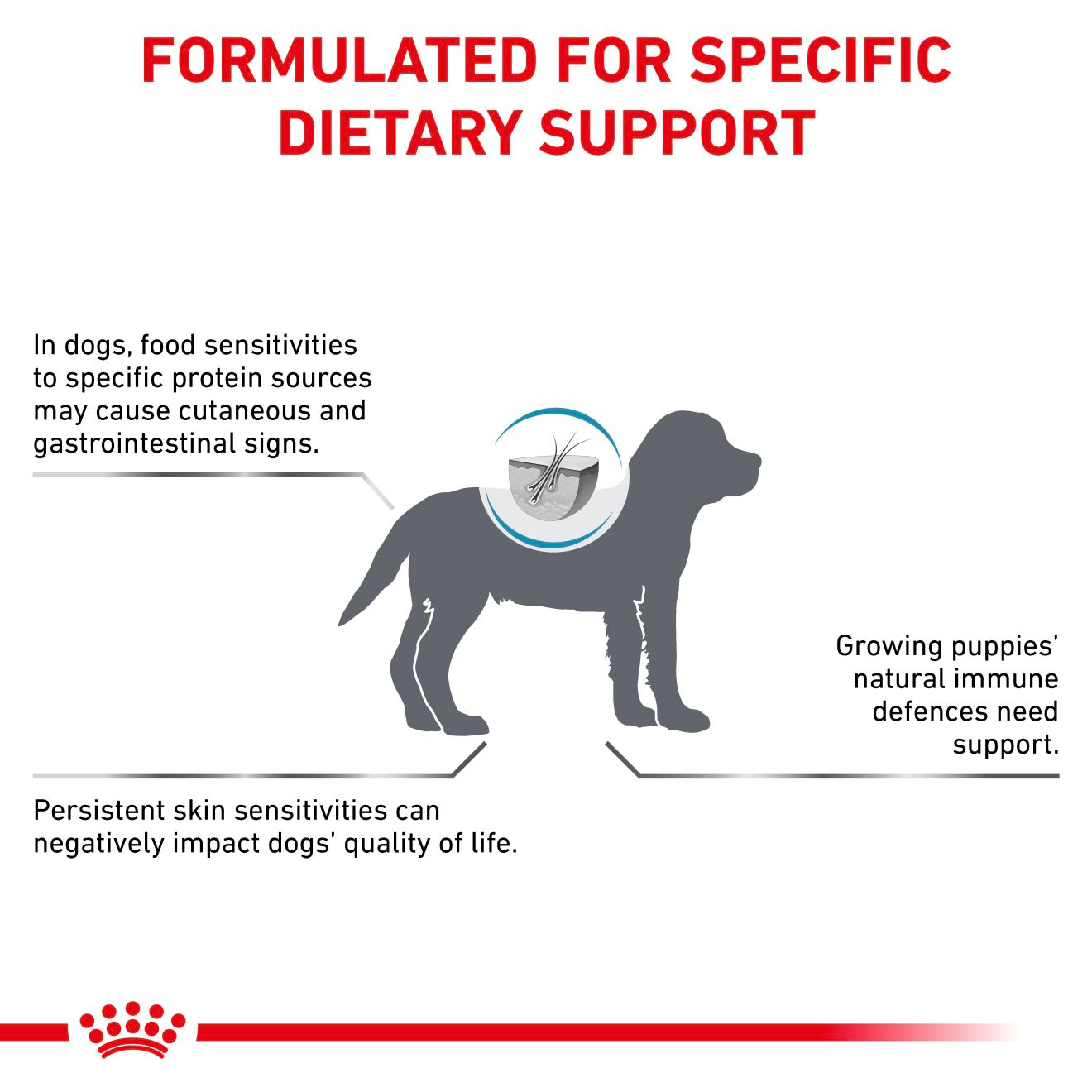 Royal Canin Veterinary Diets Derma Hypoallergenic Puppy kuivtoit kutsikatele 3,5 kg