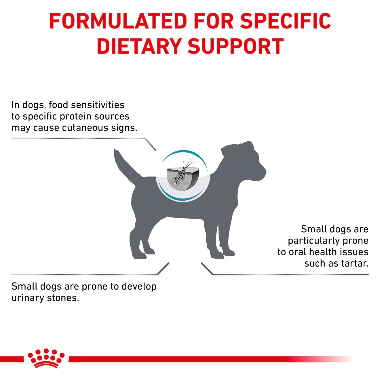 Royal Canin Veterinary Diets Derma Hypoallergenic Small Dog kuivtoit koertele 1 kg