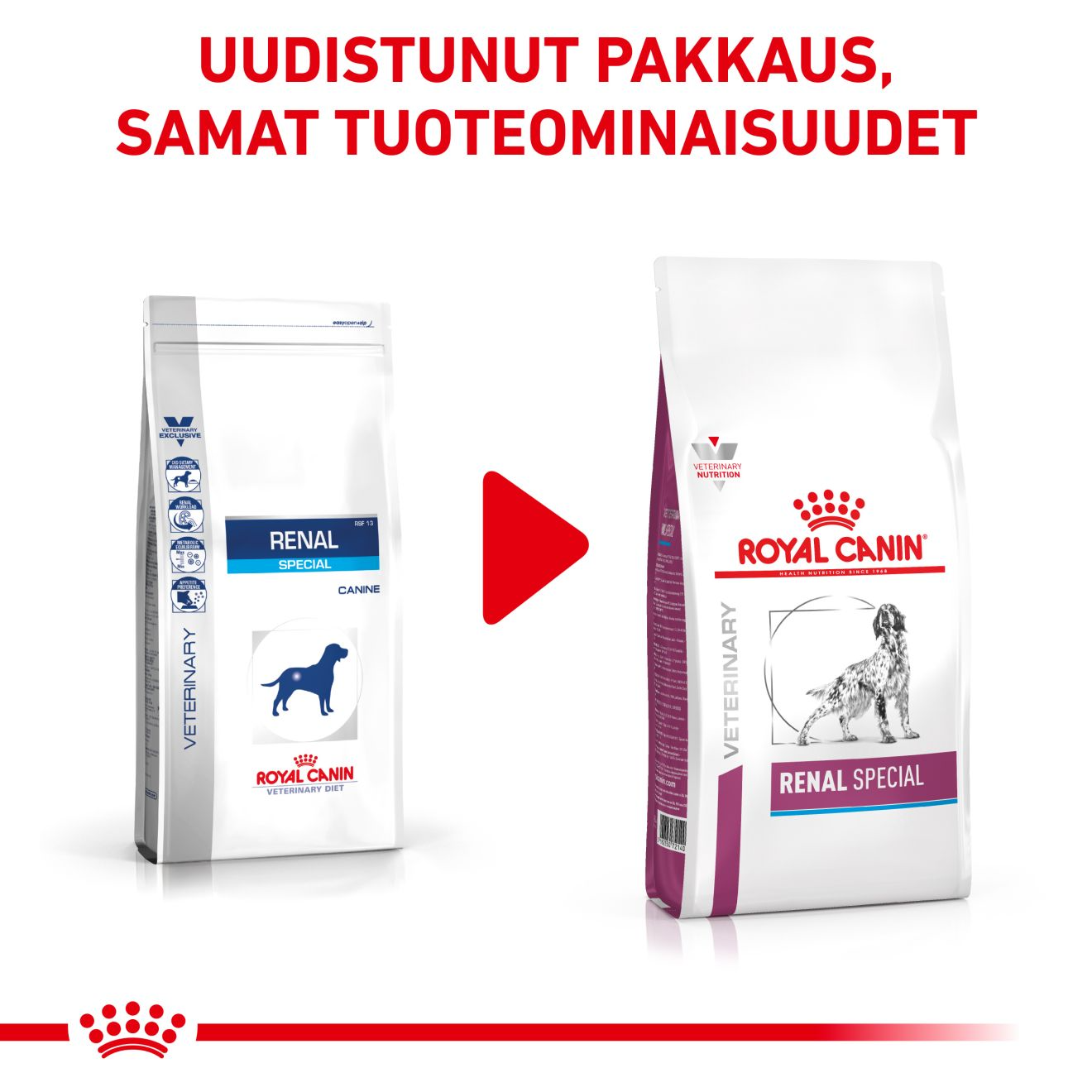 Royal Canin Veterinary Diets Renal Special 10 kg för hundar