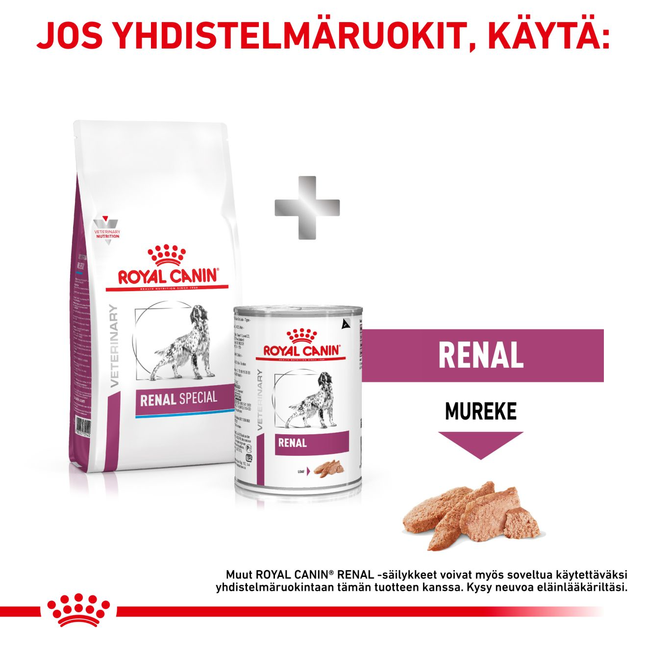 Royal Canin Veterinary Diets Renal Special 10 kg för hundar