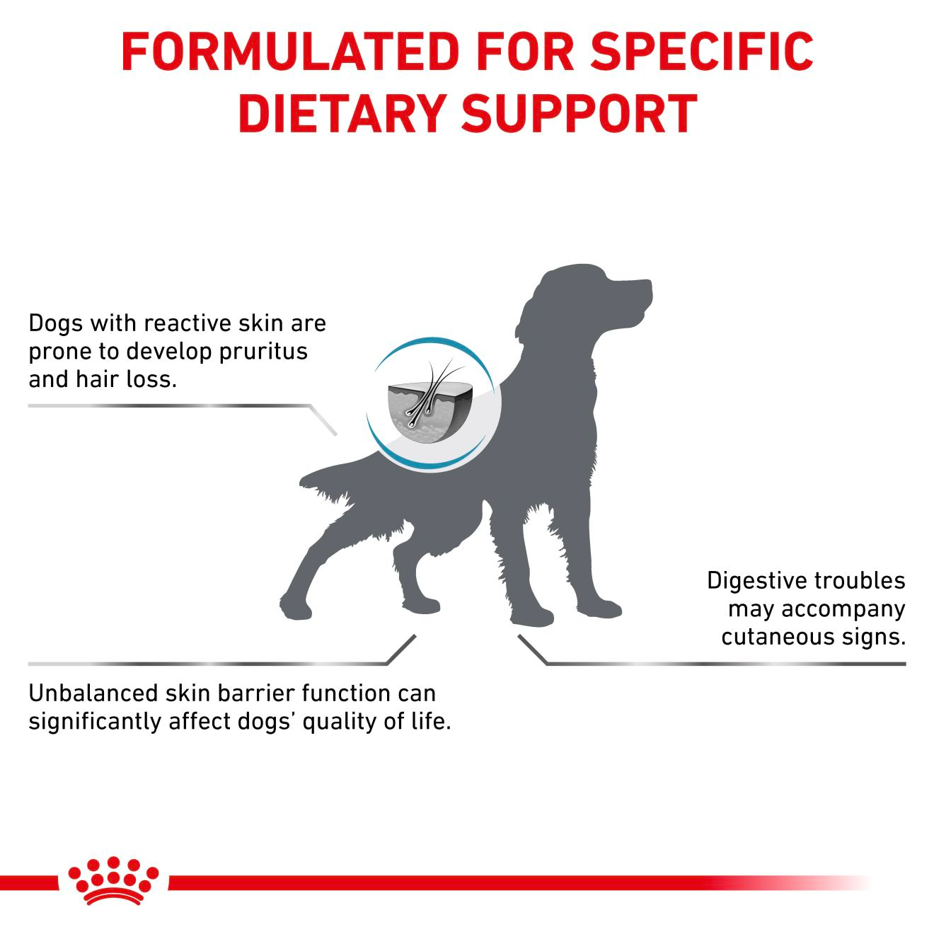 Royal Canin Veterinary Diets Derma Skin Care torrfoder för hund 8 kg