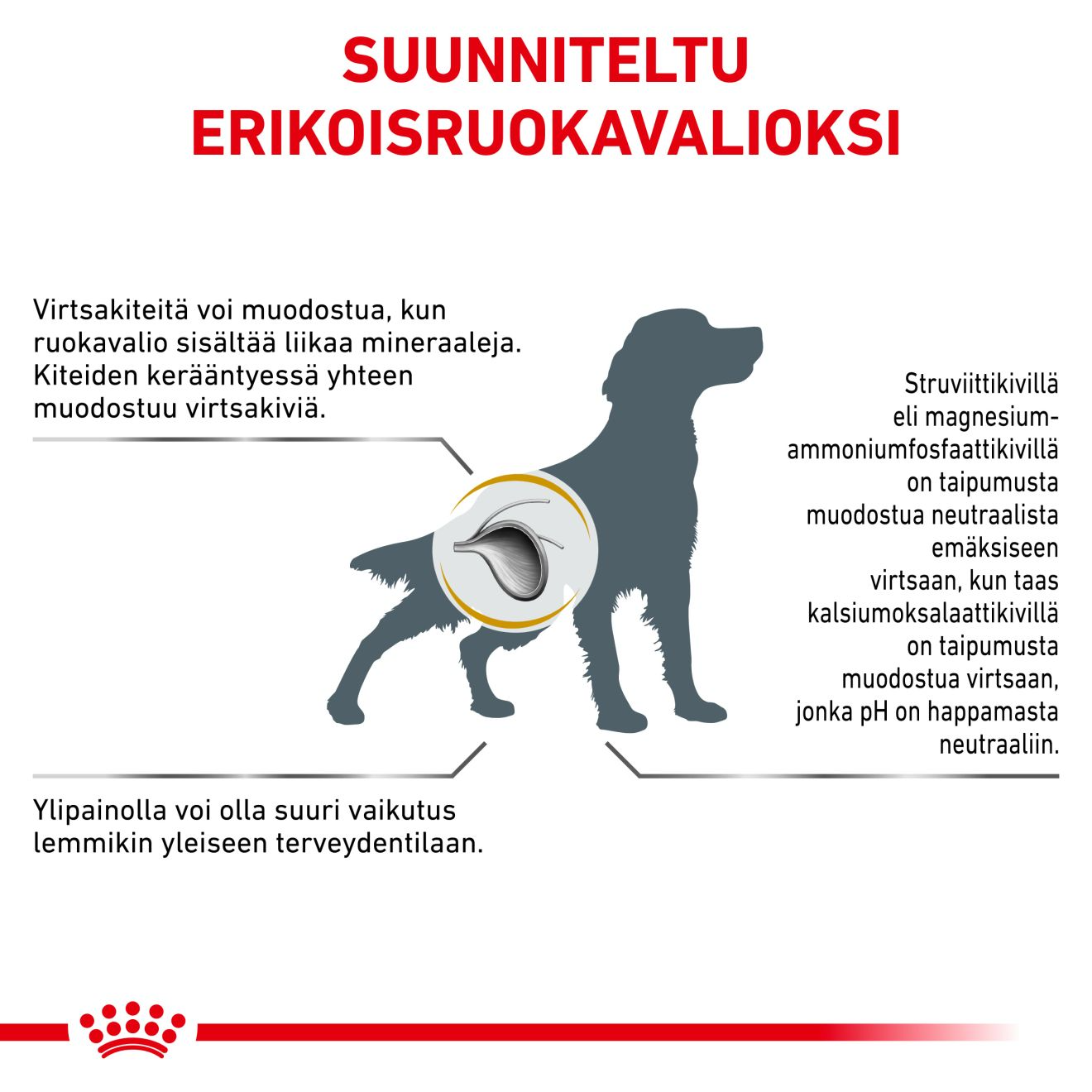 Royal Canin Veterinary Diets Urinary S/O Moderate Calorie torrfoder för hund 1,5 kg