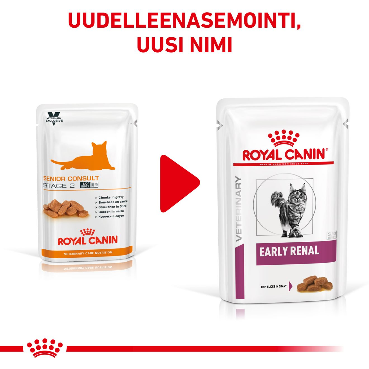 Royal Canin Veterinary Diets Vital Early Renal wet food for cats 12 x 85 g
