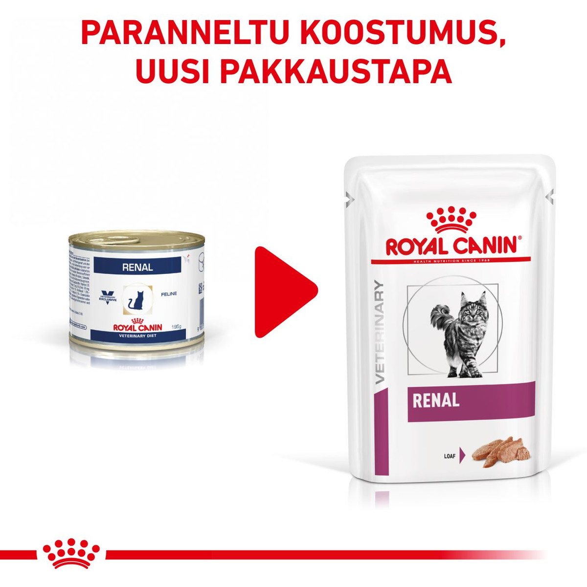 Royal Canin Veterinary Diets Vital Renal wet food for cats 12 x 85 g