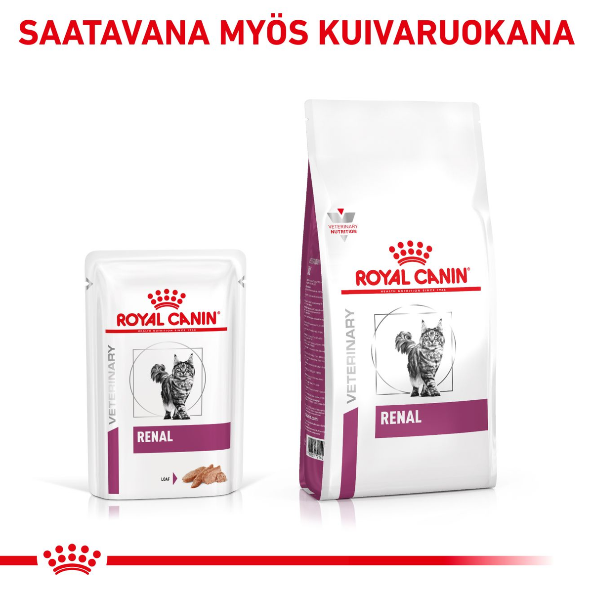 Royal Canin Veterinary Diets Vital Renal wet food for cats 12 x 85 g