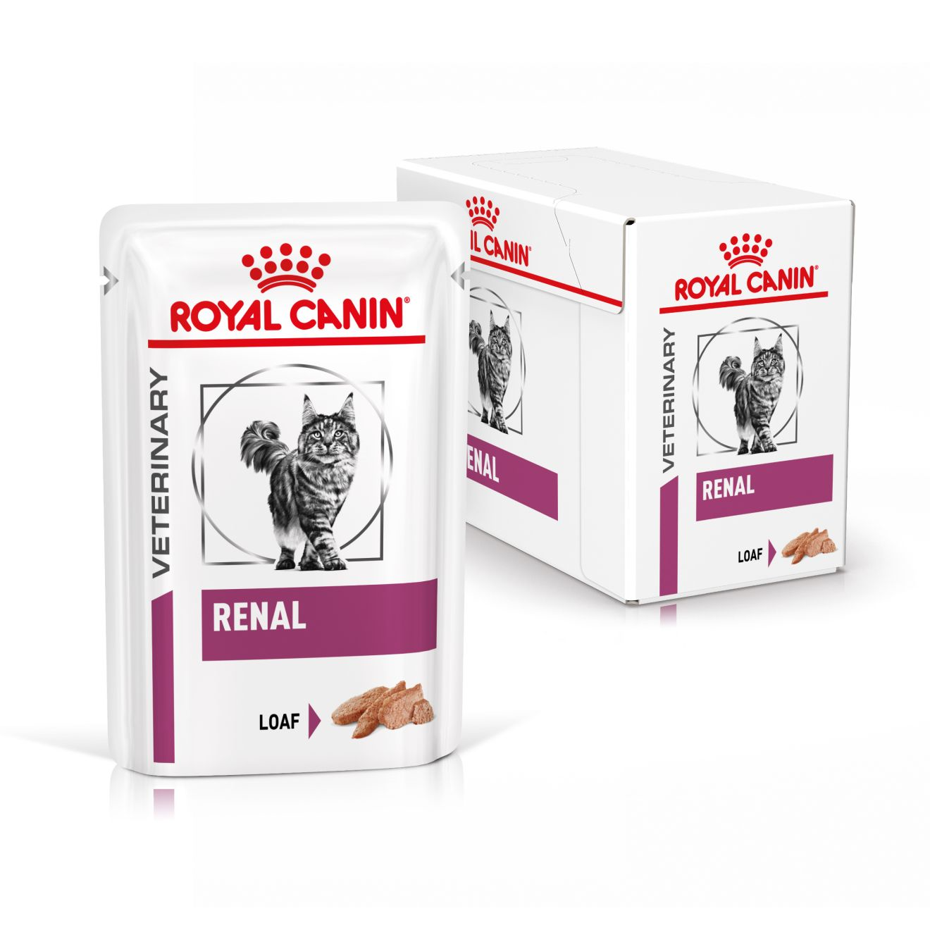 Royal Canin Veterinary Diets Vital Renal märgtoit kassidele 12 × 85 g MULTIPAKK