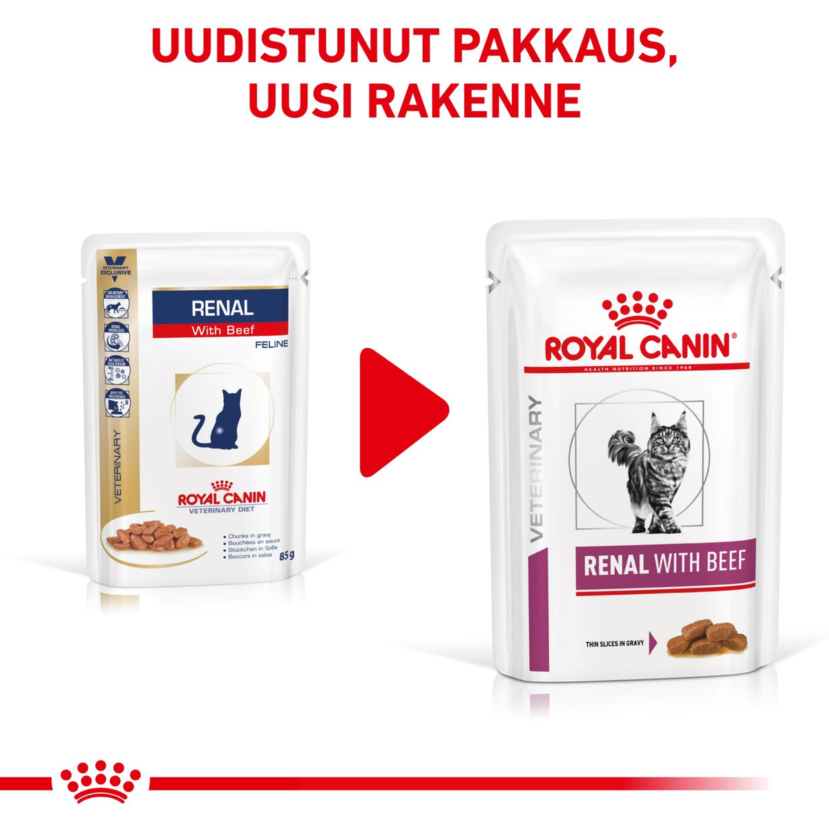 Royal Canin Veterinary Diets Vital Renal Beef wet food for cats 12 x 85 g