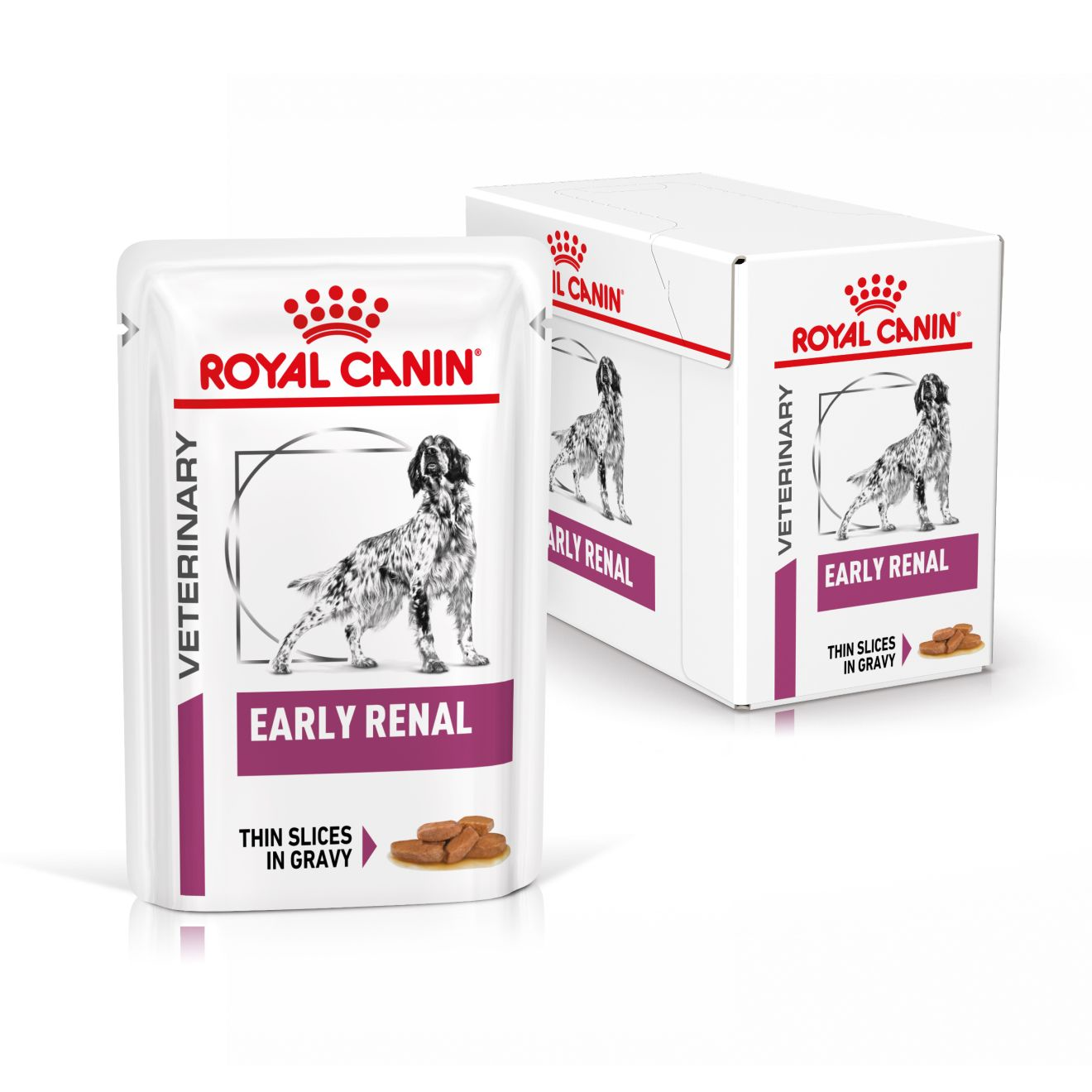 Royal Canin Veterinary Diets Vital Early Renal wet food for dogs 12 x 100 g