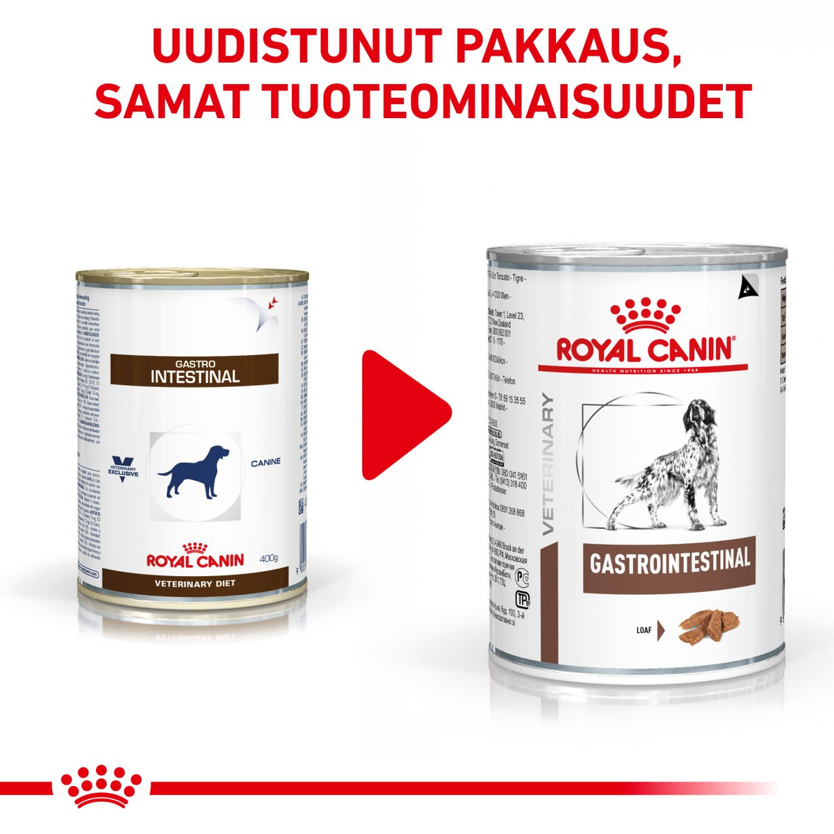 Royal Canin Veterinary Diets Gastrointestinal Loaf Can wet food for dogs 200 g