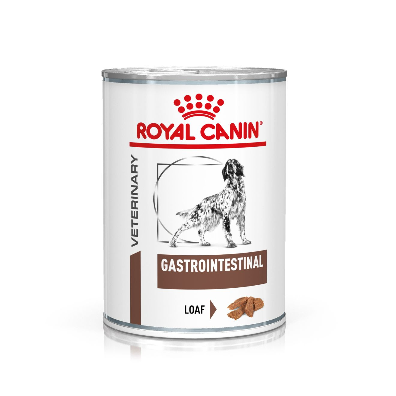 Royal Canin Veterinary Diets Gastrointestinal Loaf Can wet food for dogs 400 g