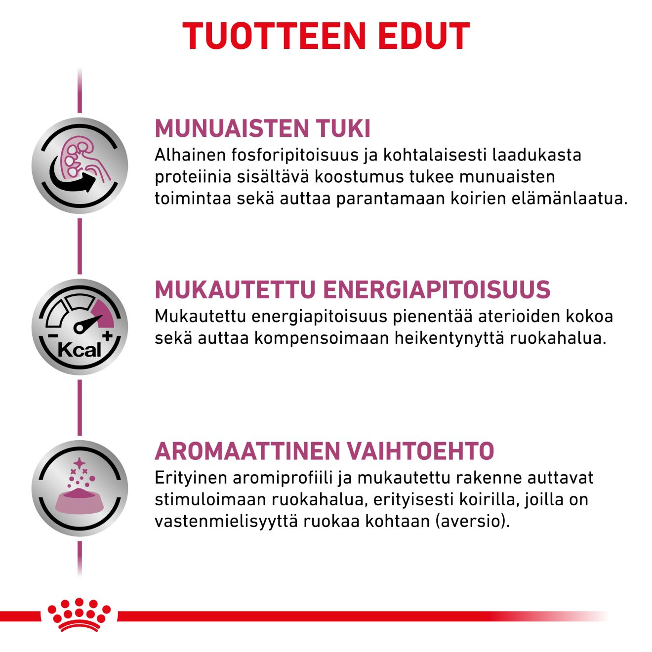 Royal Canin Veterinary Diets Renal Special 410 g för hundar