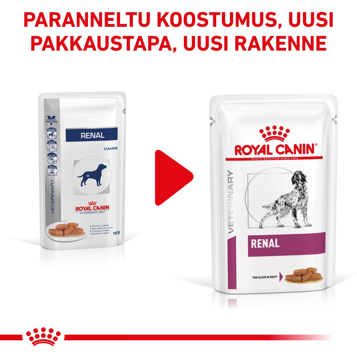 Royal Canin Veterinary Diets Vital Renal wet food for dogs 12 x 100 g