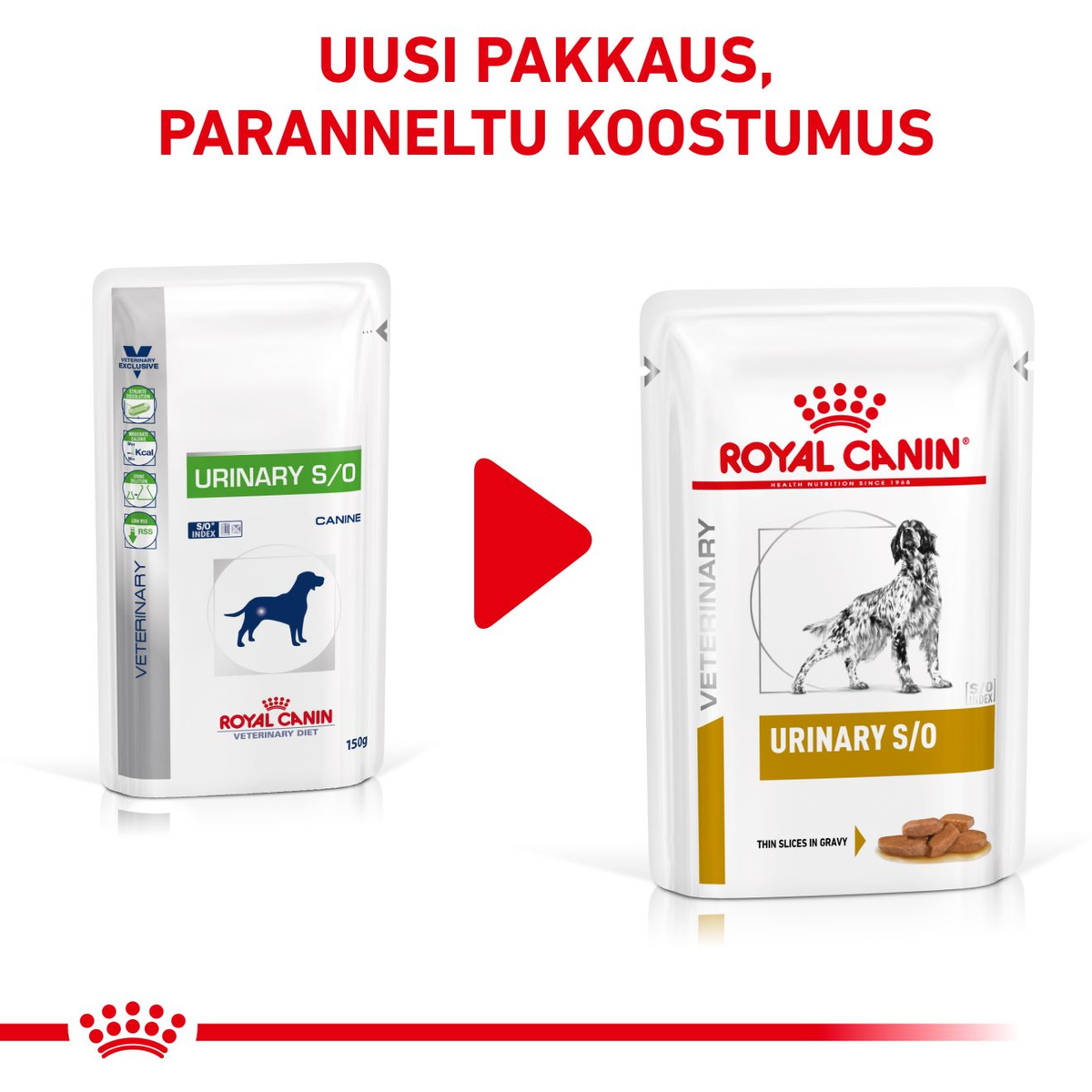Royal Canin Veterinary Diets Urinary S/O CIG våtfoder för hund 12 x 100 g