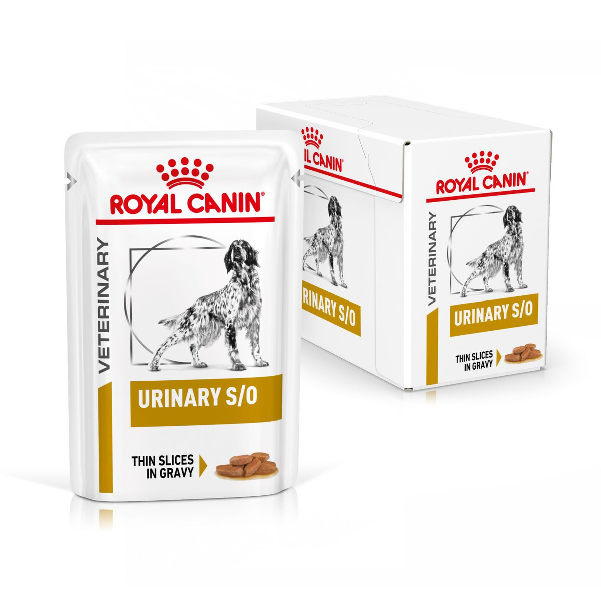Royal Canin Veterinary Diets Urinary S/O CIG våtfoder för hund 12 x 100 g