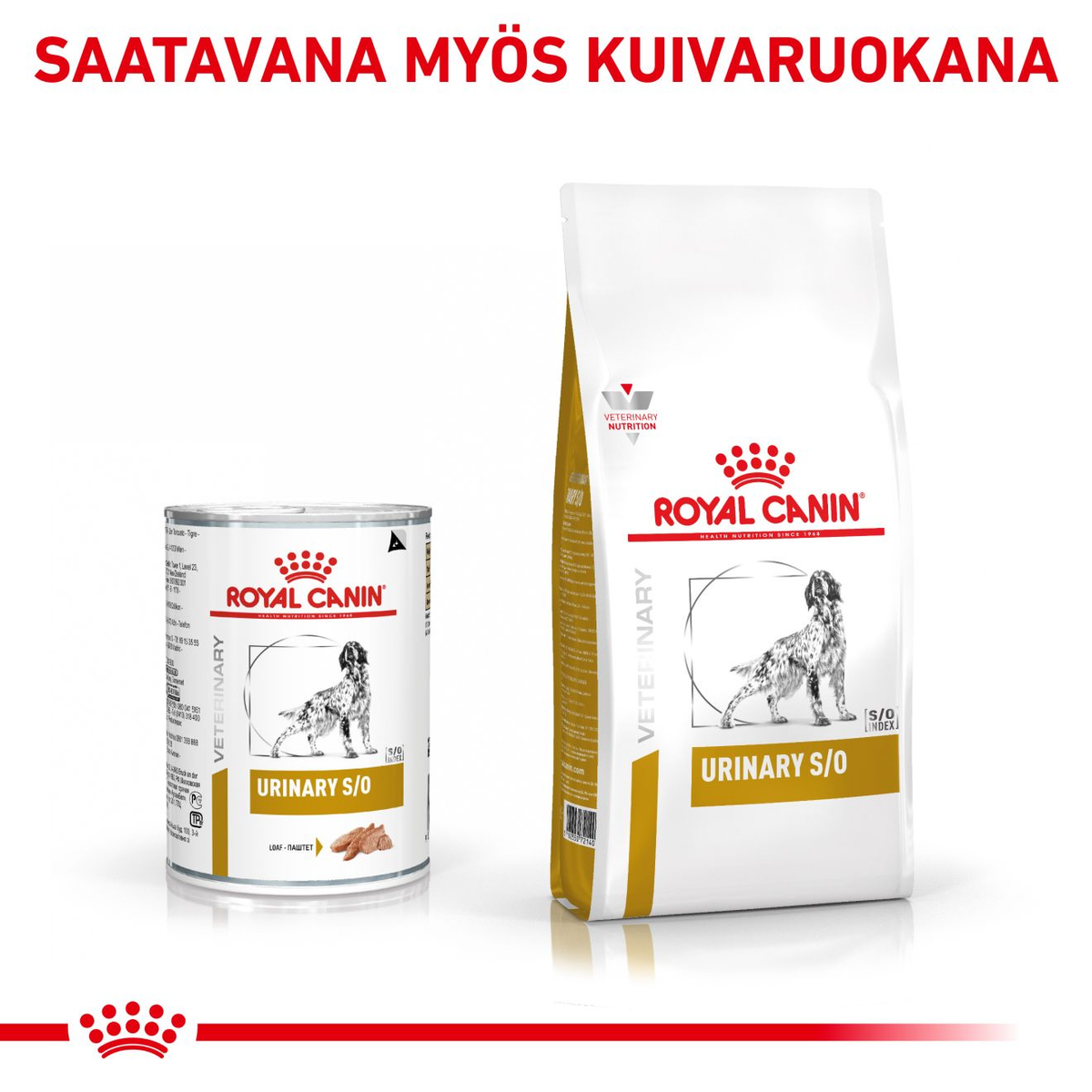 Royal Canin Veterinary Diets Urinary S/O Loaf wet food for dogs 12 x 410g