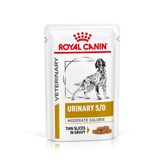 Royal Canin Veterinary Diets Urinary S/O MC wet food for dogs 12 x 100 g