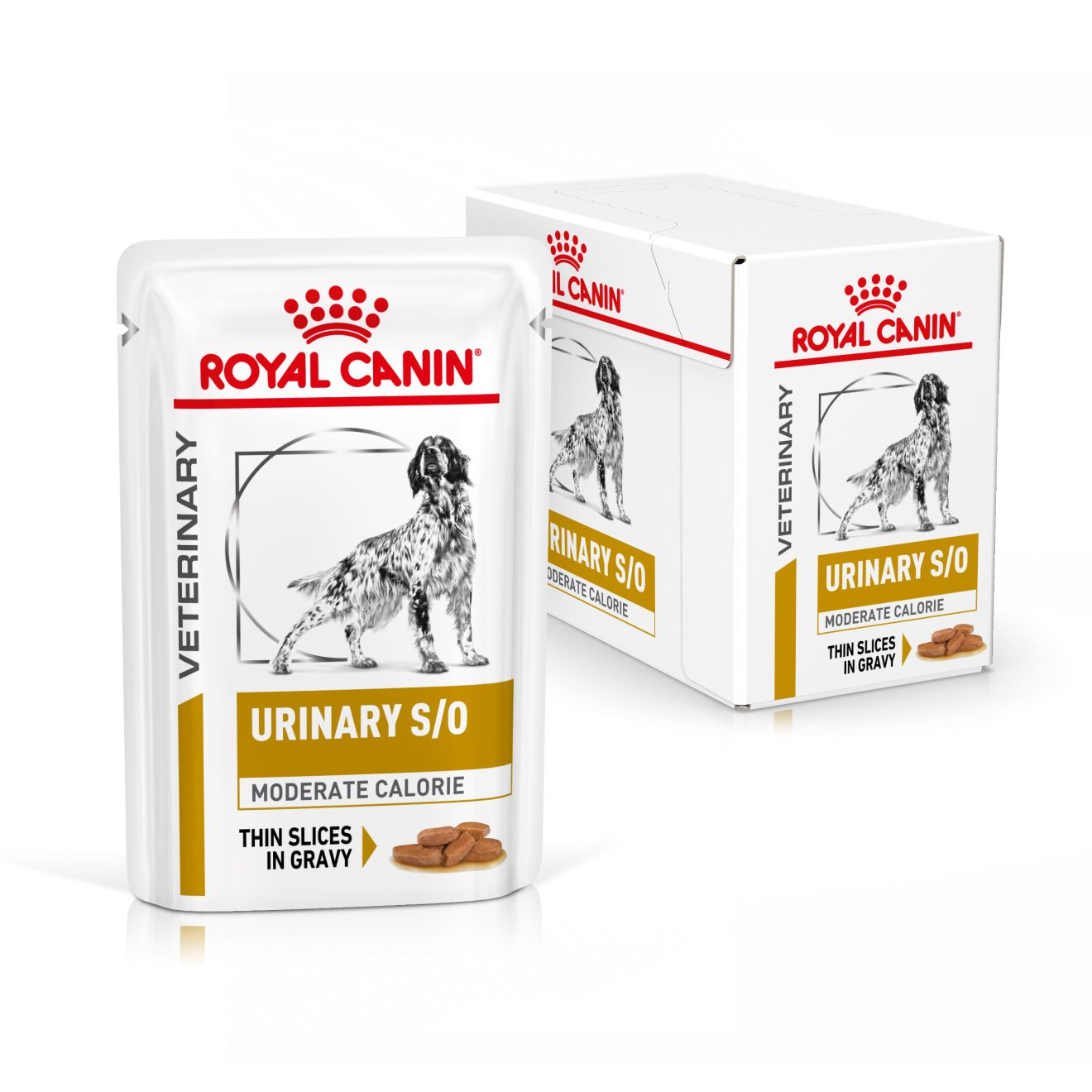Royal Canin Veterinary Diets Urinary S/O MC wet food for dogs 12 x 100 g